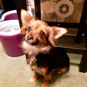 Meet your Posher, Sherry